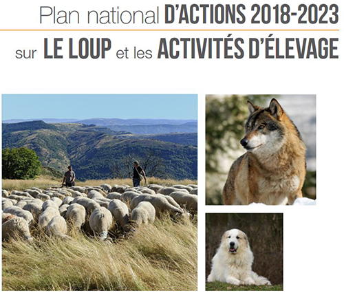 plan_loup_reference.png