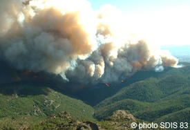 Répandue par le feu de forêt, une épaisse fumée recouvre les collines du massif forestier