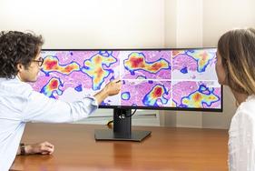 un homme et une femme devant un écran d'ordinateur présentant de l'imagerie médicale